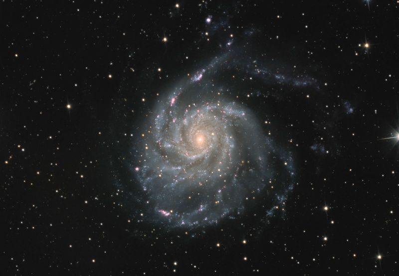 M 101