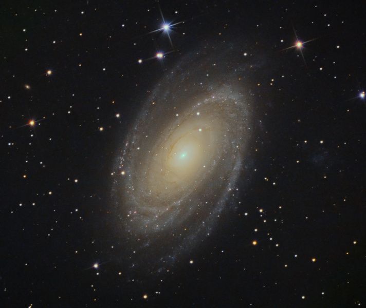 M 81